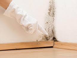 Best Residential Mold Inspection & Testing  in Lakemoor, IL